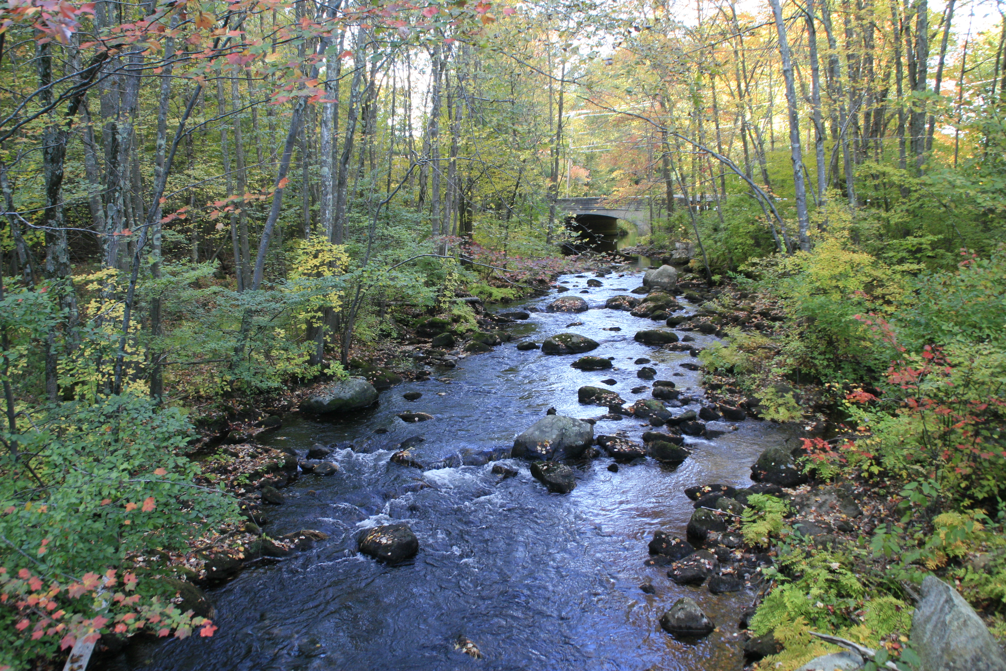 The Nissitissit River south of Lake Potanipo where Camp Tevya is seeking a camp nurse this summer.