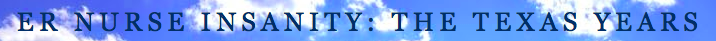 ER Nurse Insanity blog logo