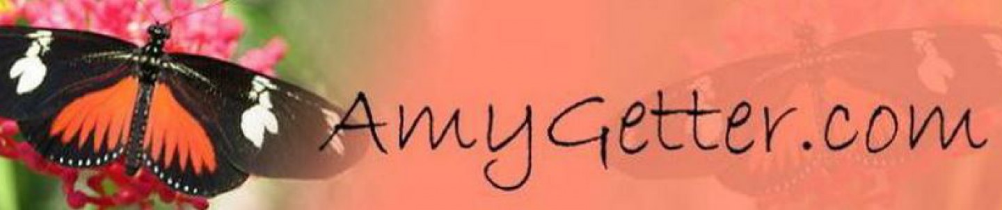Hospice Diary blog logo