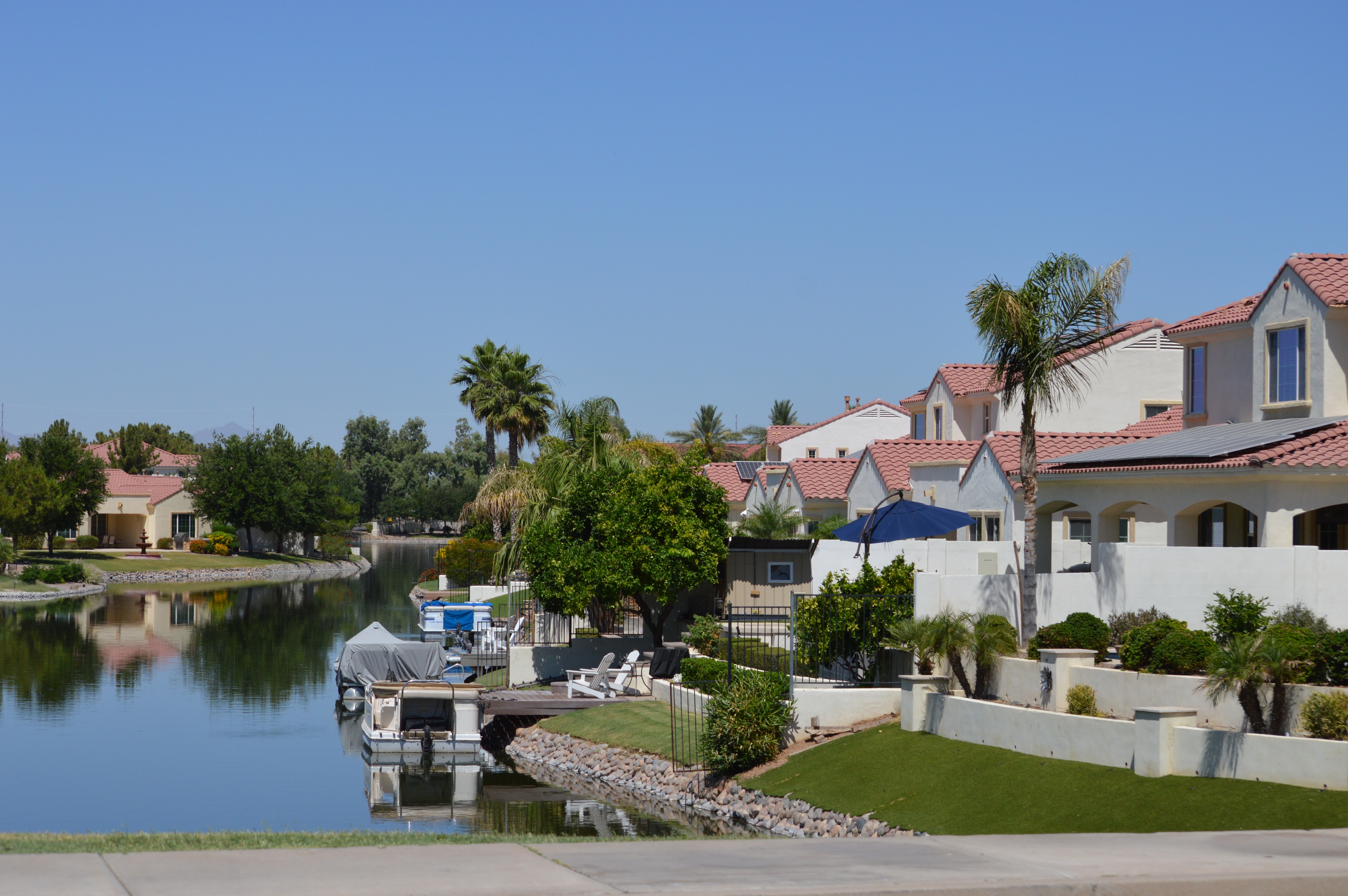 Suburban houses and palm trees along a calm lake under a clear blue sky